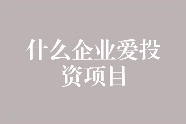 什么企业爱投资项目