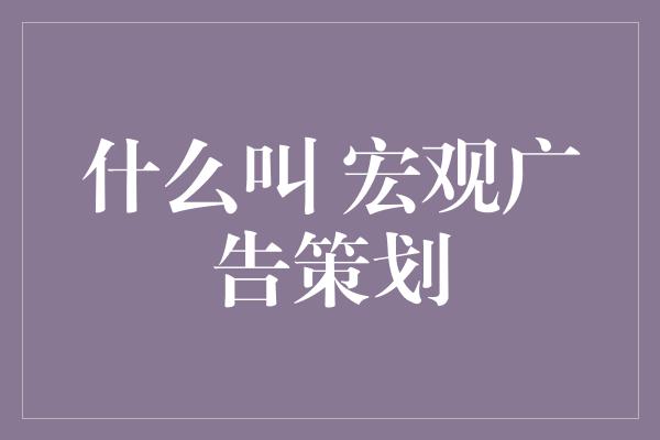 什么叫 宏观广告策划