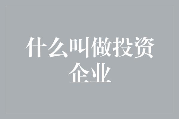 什么叫做投资企业