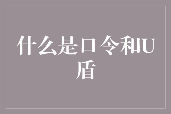 什么是口令和U盾