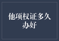 他项权证办理时间解析：影响因素与优化策略