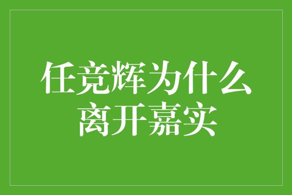 任竞辉为什么离开嘉实