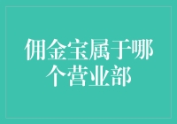 佣金宝到底属于哪个营业部？揭秘金融界的神秘传说！