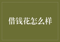 借钱花：你离财务自由只差一个借字的距离