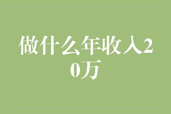 做什么年收入20万