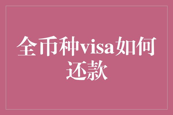 全币种visa如何还款