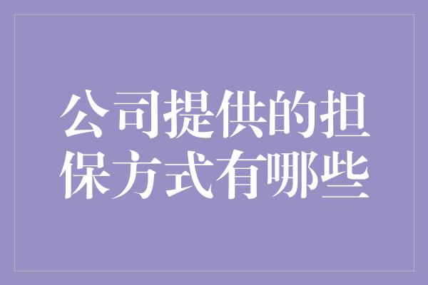 公司提供的担保方式有哪些