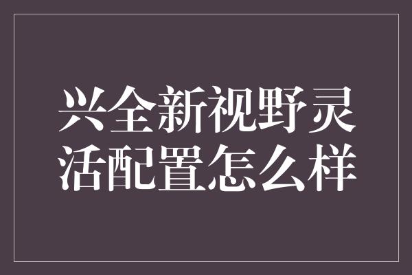 兴全新视野灵活配置怎么样