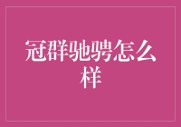 冠群驰骋：假装自己是个高手