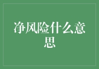 净风险：如何通过风险和收益的权衡实现最优决策