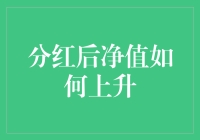 分红后净值如何上升：理解股票市场背后的机制