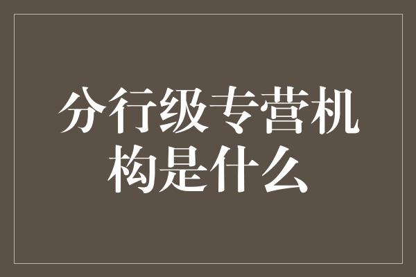 分行级专营机构是什么