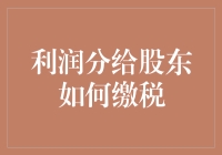 公司利润分配给股东的税务策略与合规解析