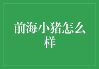 前海小猪：新兴的跨境支付解决方案