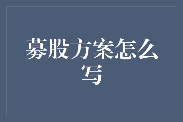 募股方案怎么写