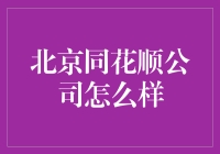 北京同花顺公司怎么样？揭秘程序员的奇幻冒险记