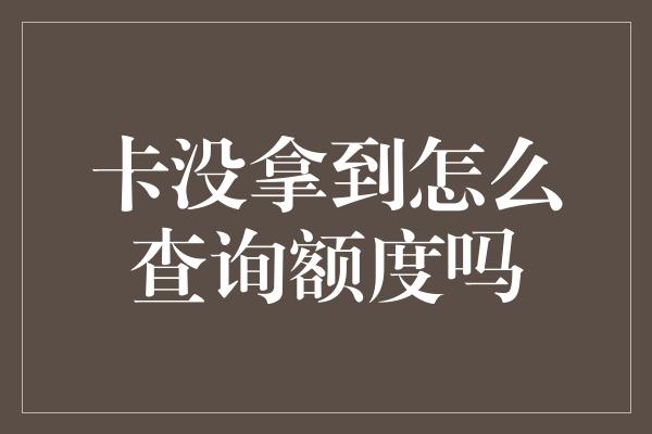 卡没拿到怎么查询额度吗