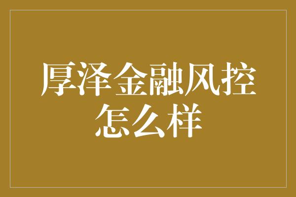 厚泽金融风控怎么样