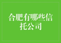 合肥地区信托公司的分类与特点分析