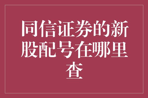 同信证券的新股配号在哪里查