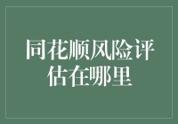 同花顺风险评估：如何通过数据洞察股市投资风险