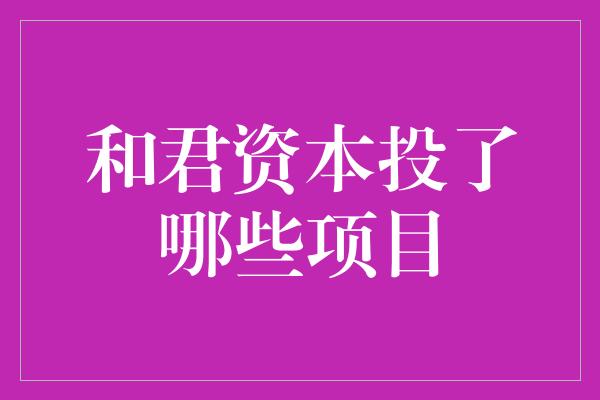 和君资本投了哪些项目