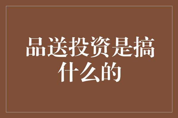 品送投资是搞什么的