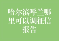 探秘哈尔滨呼兰：调取征信报告的便捷途径