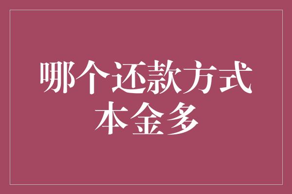 哪个还款方式本金多