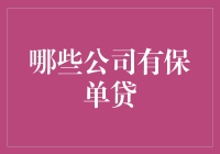 哪些公司提供保单贷款服务：深入解析与创新探索