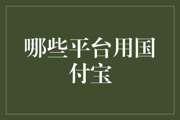 哪些平台用国付宝