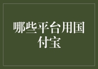 揭秘国付宝：多元化支付平台的佼佼者