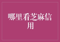 芝麻信用：探索个人信用评分的前沿阵地