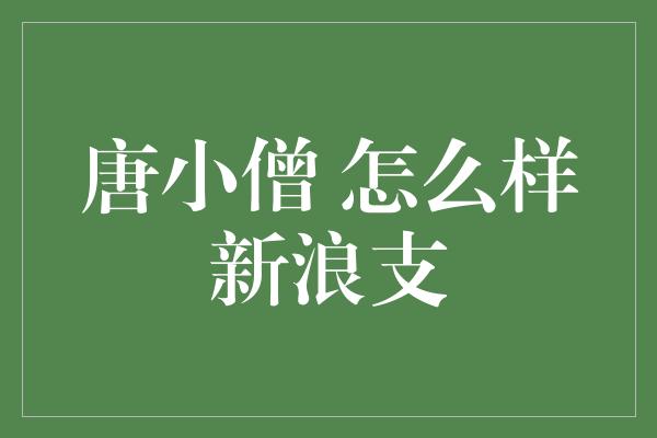 唐小僧 怎么样新浪支