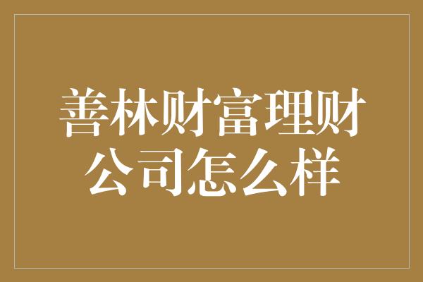 善林财富理财公司怎么样