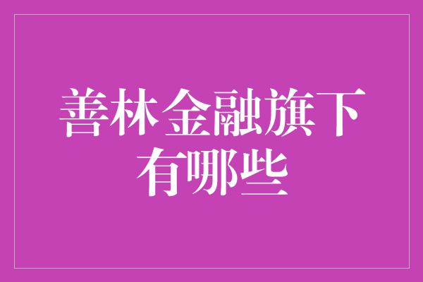 善林金融旗下有哪些