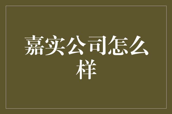 嘉实公司怎么样