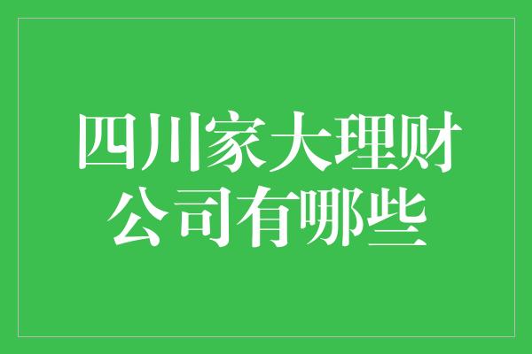 四川家大理财公司有哪些