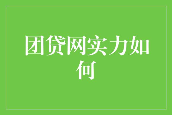 团贷网实力如何