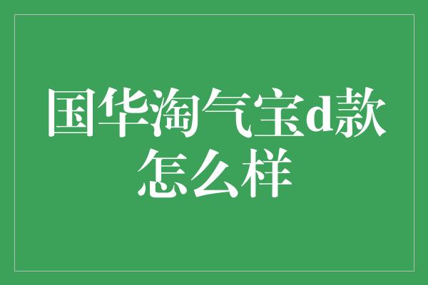 国华淘气宝d款怎么样