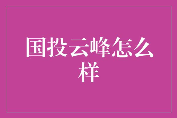 国投云峰怎么样