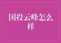 国投云峰：积极探索云计算与人工智能的深度融合