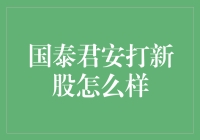 国泰君安打新股：把握投资机会，解锁财富密码