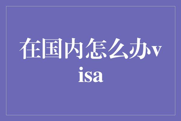 在国内怎么办visa