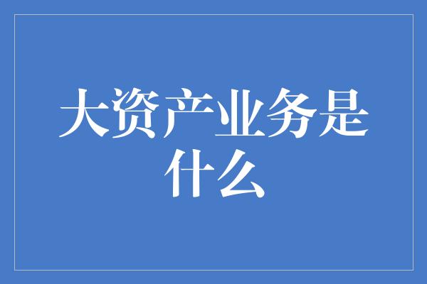 大资产业务是什么