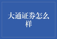 大通证券：金融创新与专业服务的领航者