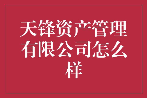 天锋资产管理有限公司怎么样