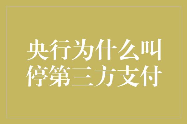 央行为什么叫停第三方支付