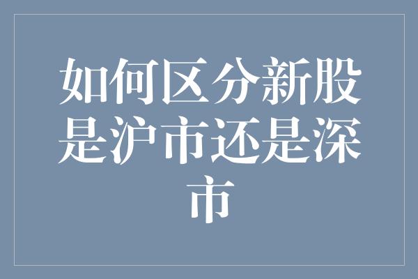 如何区分新股是沪市还是深市