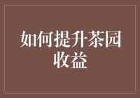 茶园高效管理策略：从种植到销售全面解析